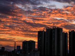 -三水森林公园
