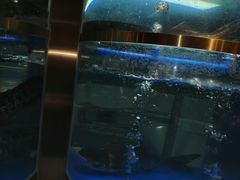 -蜀滋香鲜鱼美蛙火锅(339店)