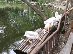 -济南野生动物世界