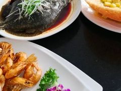 -云中小雅