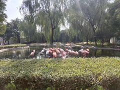 -石家庄市动物园