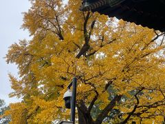 -红螺寺