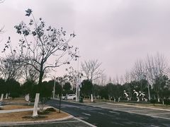 -滨湖塘西河公园