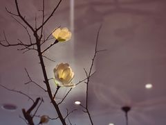 -望湘园·湖南菜(宏伊店)