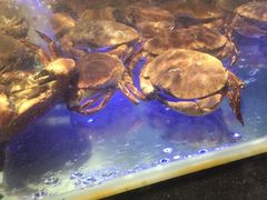 -盒马鲜生(悠方店)