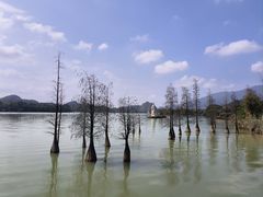 -星湖旅游景区七星岩