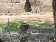 -秦皇岛野生动物园