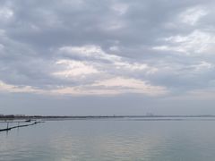-贡湖湾湿地公园