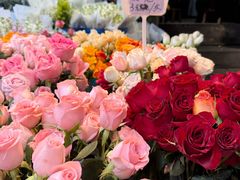 -循礼门鲜花花市(武汉循礼门店)