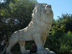 -石家庄市动物园