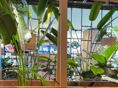 -大头椰·椰子鸡火锅(南宁万象城店)