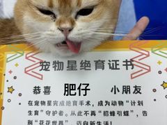 -宠物星动物医院·眼科·异宠·猫科(江南大道总院)