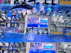-合肥海洋世界