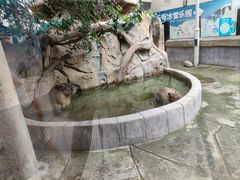 -海合安成都极地海洋公园