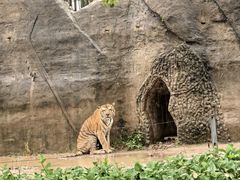 -秦皇岛野生动物园