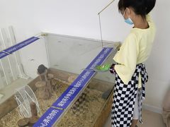 -怪兽屋·羊驼·猫咖·狗咖(俊华广场店)