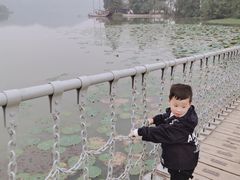 -东湖落雁景区
