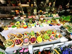 -循礼门鲜花花市(武汉循礼门店)