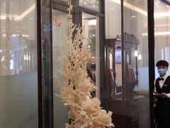 门面-醉辉皇上海之巅(上海中心大厦店)