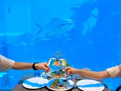 -海棠湾洲际-涛·海底餐厅·美人鱼·自助餐·海底隧道