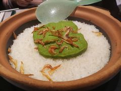 海花虾焗饭-新兴·金羊座·粤菜点心(乐峰店)