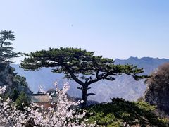 -圣莲山风景区