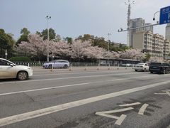 -华中科技大学光谷体育馆