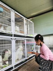 -小蜜蜂农场(凯德七宝购物广场店)