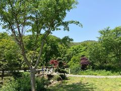 -穹窿山景区