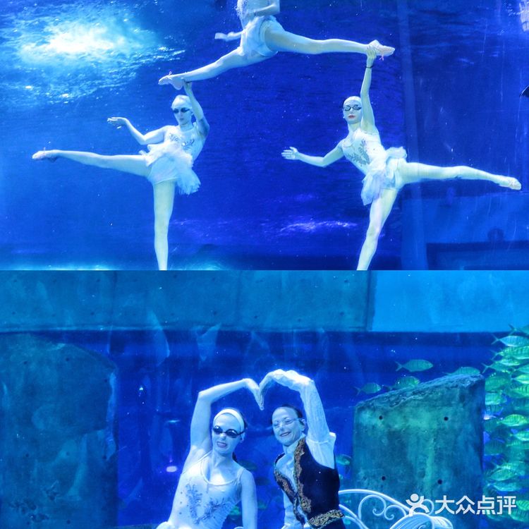 溜娃好去处｜🐠正佳极地海洋世界好玩又好睇