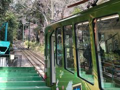 -神户市立六甲山牧场