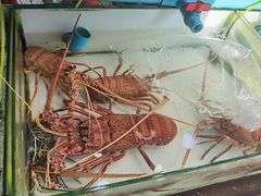 -拉威海鲜市场
