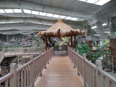 -南宫五洲植物乐园