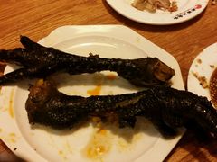 -老号尤兔头(幸福店)