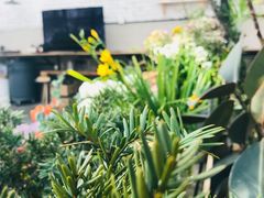 -北马山庄植趣咖啡