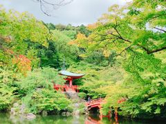 -醍醐寺