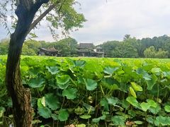 -高子水居