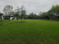 -和平公园