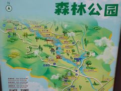 -广州白江湖森林公园