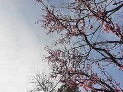 -铜锣山矿山公园