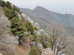 -北京鹫峰国家森林公园