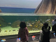 -江和美海洋公园