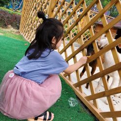 -萌宠亲子动物乐园(槐房万达店)