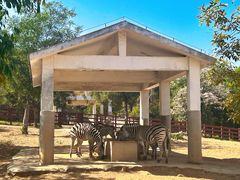 -石家庄市动物园