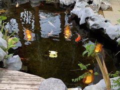 -道南書院·私房菜·早午茶·茶馆