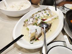太湖白鱼-红樽舫湖州菜.湖景餐厅(太湖渔人码头店)