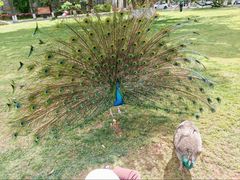 -西昌邛海宾馆