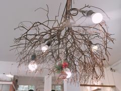 -MAISON门前杂货店