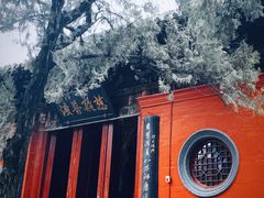 -洛阳白马寺