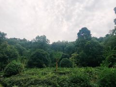 -杭州西湖风景名胜区-三生石